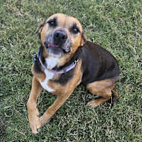 Thumbnail photo of Lilly #1