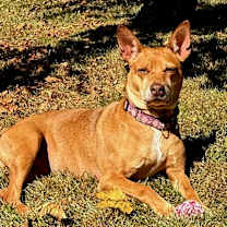 Thumbnail photo of Dolores  #4