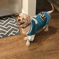 Thumbnail photo of Quincy #1