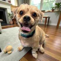 Thumbnail photo of Quincy #2