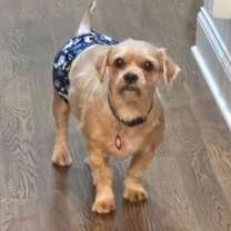 Thumbnail photo of Quincy #3