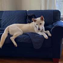 Thumbnail photo of Foster Salty Belzoni Local #1