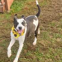 Thumbnail photo of Ayana #2