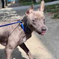 Thumbnail photo of Titan #1