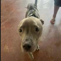 Thumbnail photo of Titan #2