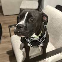 Thumbnail photo of Ash #1