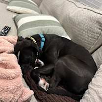 Thumbnail photo of Ash #2