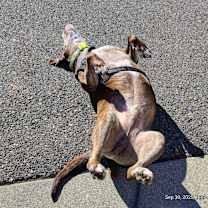 Thumbnail photo of Spike #2