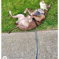 Thumbnail photo of Spike #3