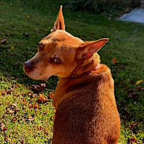 Thumbnail photo of Dolores  #3