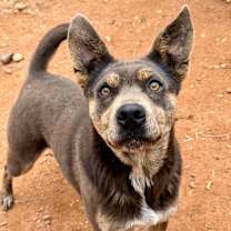 Thumbnail photo of Posey #1