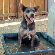 Thumbnail photo of Posey #3