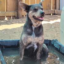 Thumbnail photo of Posey #4