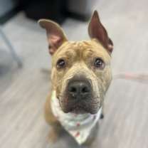 Thumbnail photo of Potluck #2