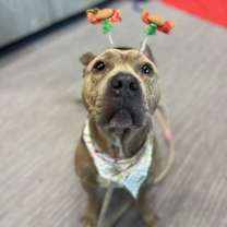 Thumbnail photo of Potluck #3