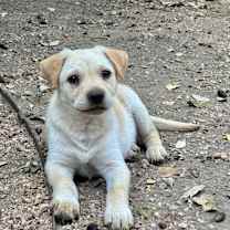 Thumbnail photo of Oatmeal #1