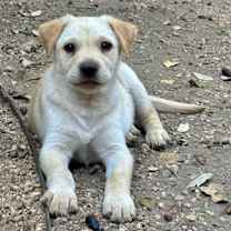 Thumbnail photo of Oatmeal #2