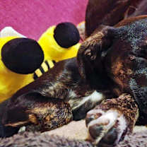 Thumbnail photo of Mia #4