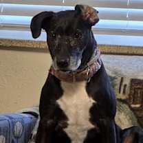 Thumbnail photo of Minnie #3