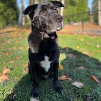 Thumbnail photo of Bear #1