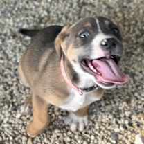 Thumbnail photo of Cari JuM #4