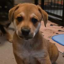 Thumbnail photo of Cypress DD #2