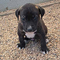 Thumbnail photo of Phred JuM #3