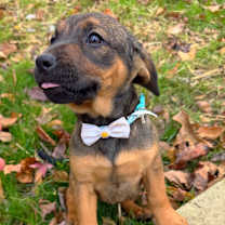 Thumbnail photo of Ritz #1