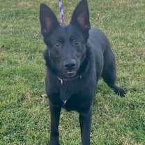 Thumbnail photo of Lilly #1