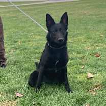 Thumbnail photo of Lilly #2