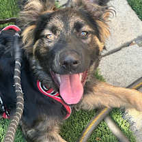 Thumbnail photo of Juffy #2