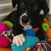 Thumbnail photo of Clara #1