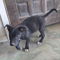 Thumbnail photo of Greg #1