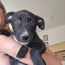 Thumbnail photo of Bobby #1