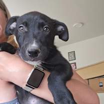 Thumbnail photo of Bobby #4