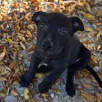 Thumbnail photo of Marcia #3