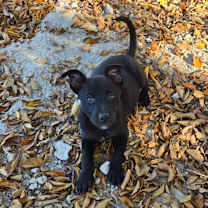 Thumbnail photo of Cindy #2