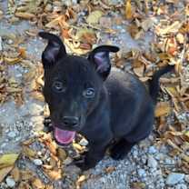 Thumbnail photo of Cindy #3