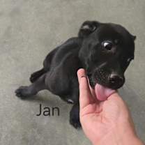 Thumbnail photo of Jan #3