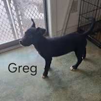 Thumbnail photo of Greg #4