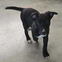 Thumbnail photo of Bobby #3