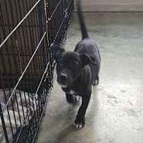 Thumbnail photo of Greg #2