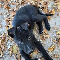 Thumbnail photo of Peter #1