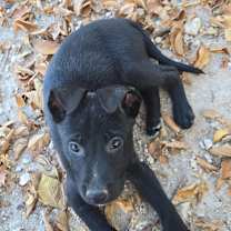 Thumbnail photo of Peter #3