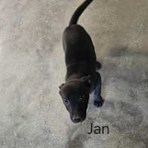 Thumbnail photo of Jan #2