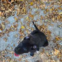 Thumbnail photo of Greg #3