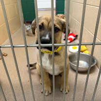 Thumbnail photo of Nellie #3