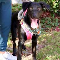 Thumbnail photo of Kylie #2