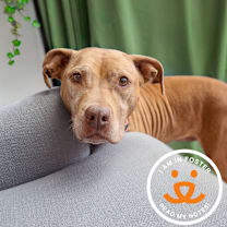 Thumbnail photo of La Santa #1