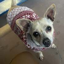 Thumbnail photo of Tucker #3